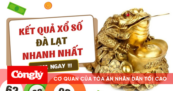 Xổ số Đà Lạt - Thống kê, phân tích và dự đoán kết quả xổ số Đà Lạt